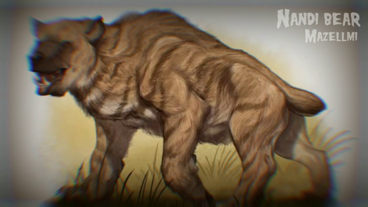 Nandi bear sounds