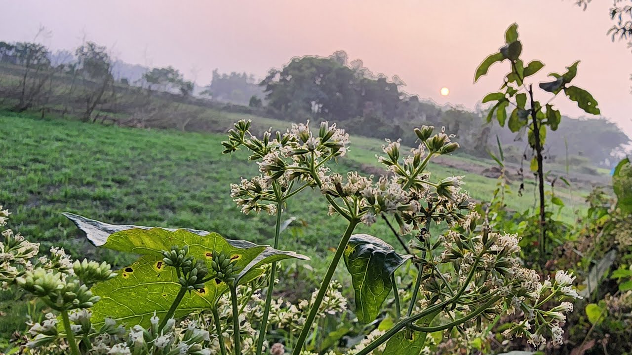 নিরবতা সত্যি সুন্দর