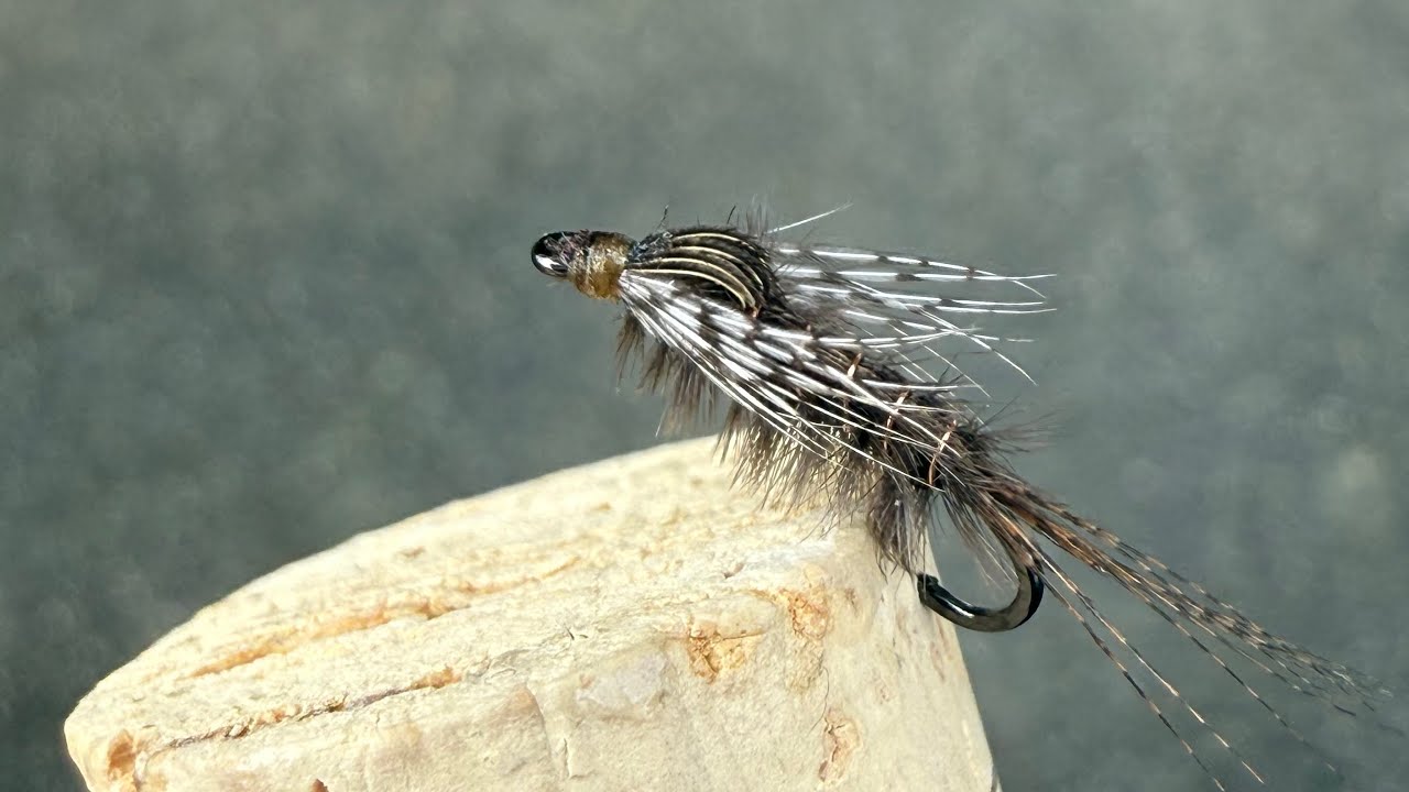 Ostrich Mayfly