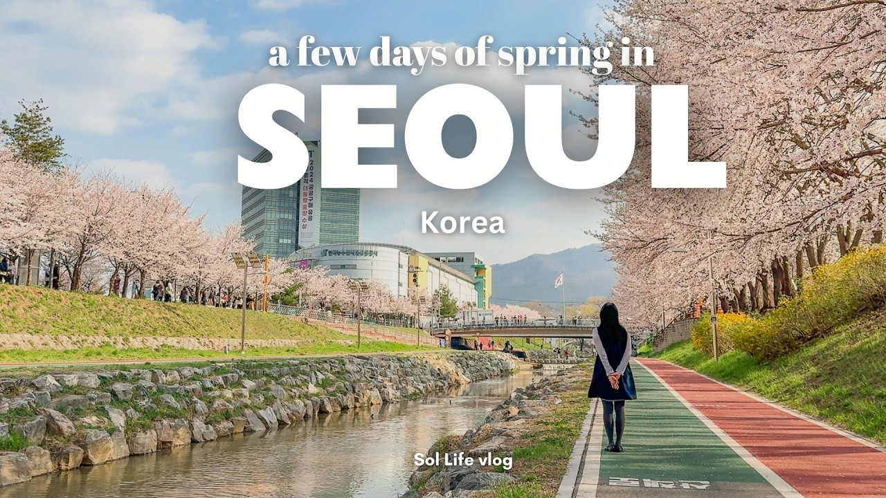 Spring in Seoul 🌸 | cherry blossom, cafe hopping, picnic, azalea festival, Yangjaecheon | Korea VLOG