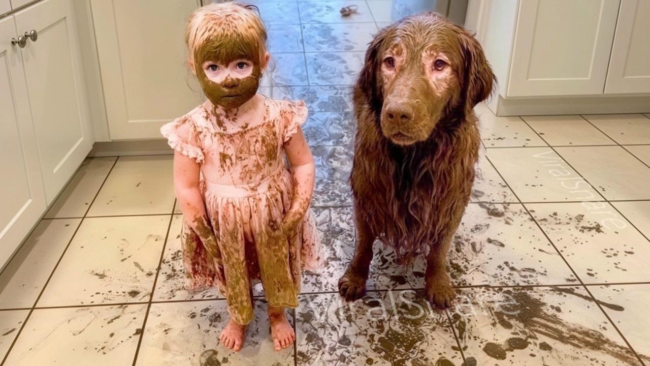 When Your Big Dog Becomes the Loyal Baby Sister