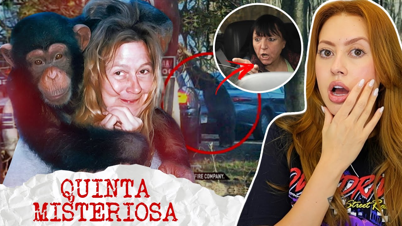 O TERRÍVEL ATAQUE DO CHIMPANZÉ TRAVIS | Caso Charla Nash