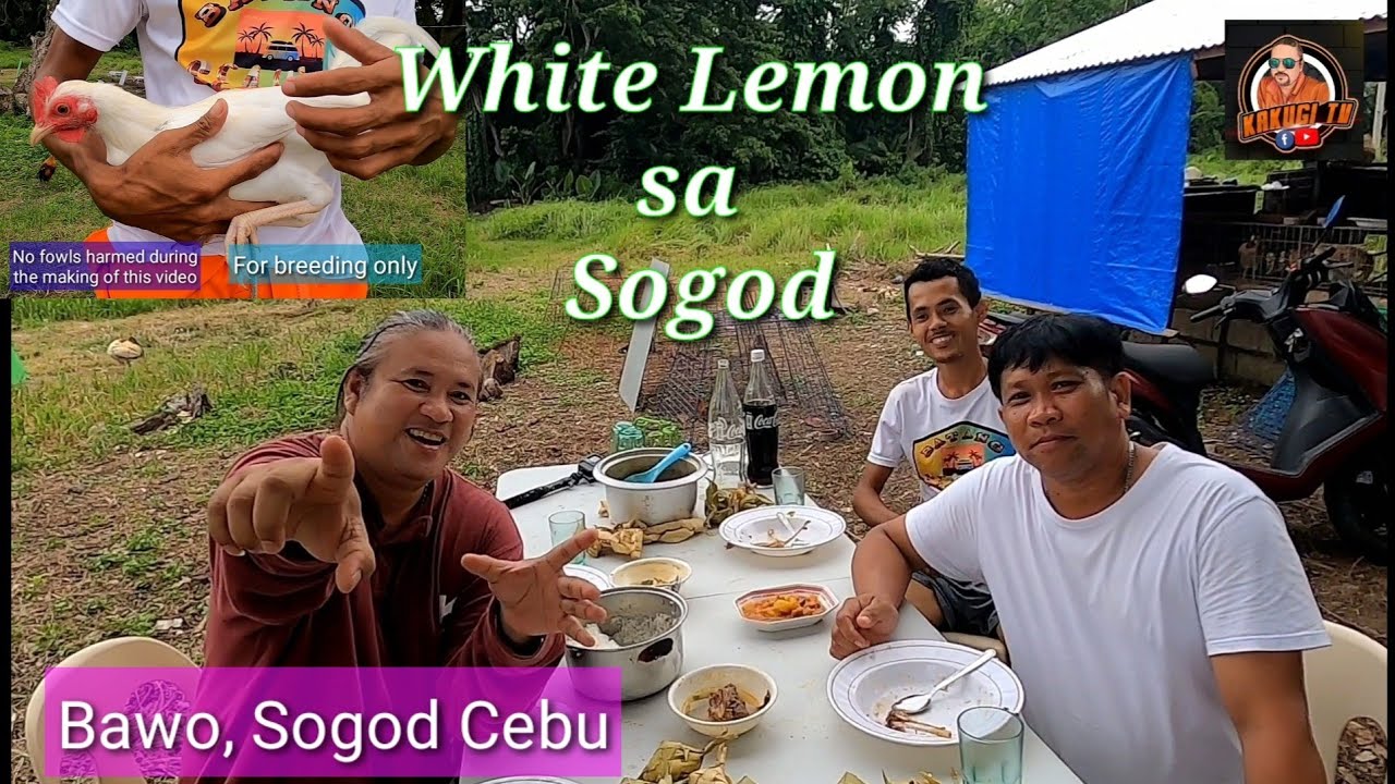 EP388: White Lemon sa Sogod/Necole and Dongkoy