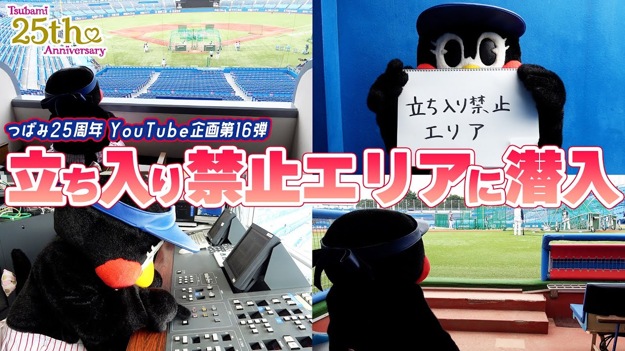 【つばみ25周年企画】16本目🎀神宮球場立ち入り禁止エリアに潜入！