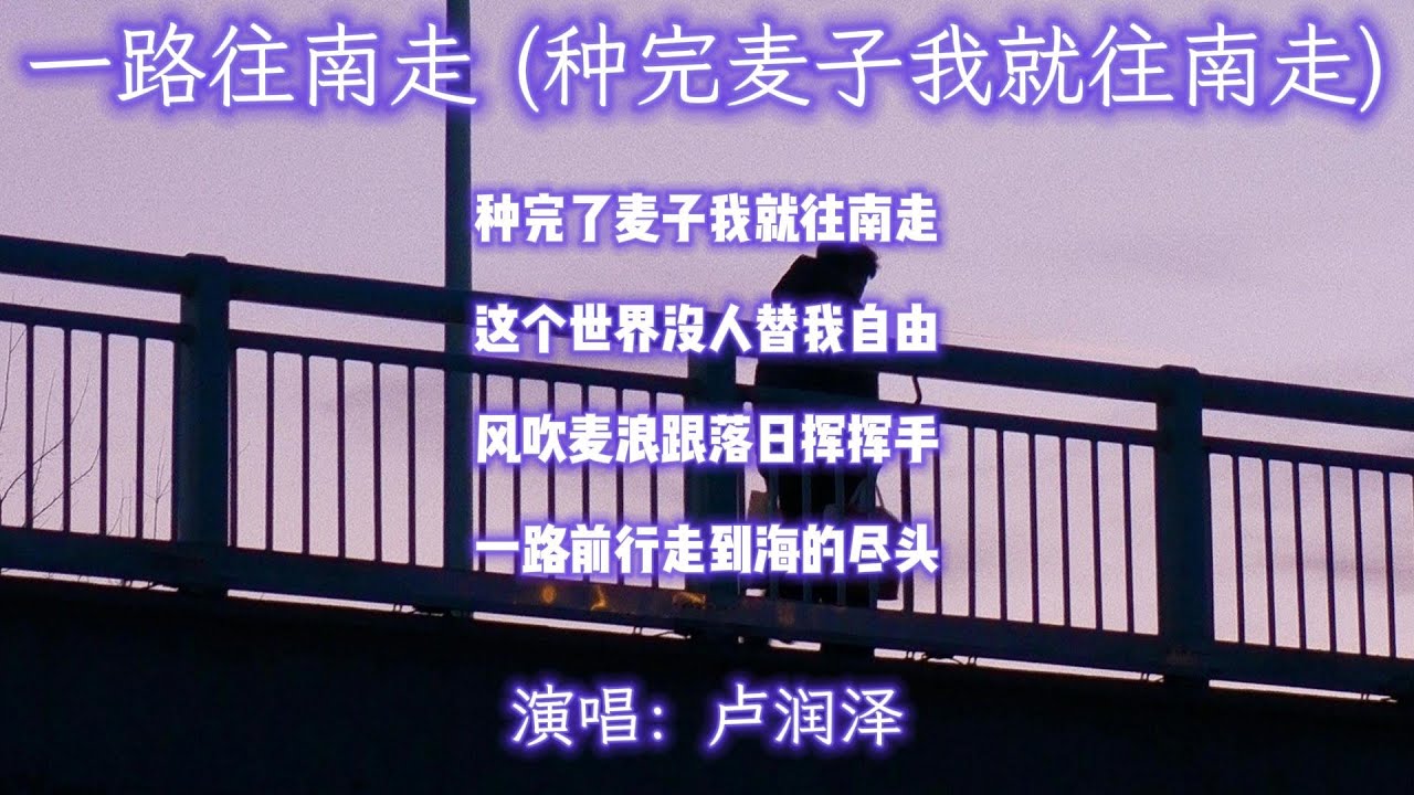 卢润泽 - 一路往南走（种完麦子我就往南走）『种完了麦子我就往南走 这个世界没人替我自由 风吹麦浪跟落日挥挥手 一路前行走到海的尽头』【动态歌词MV】