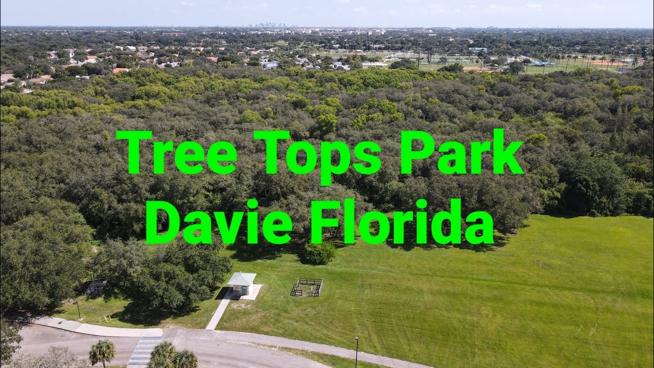 Tree Tops Park. Davie Florida. Drone Video.