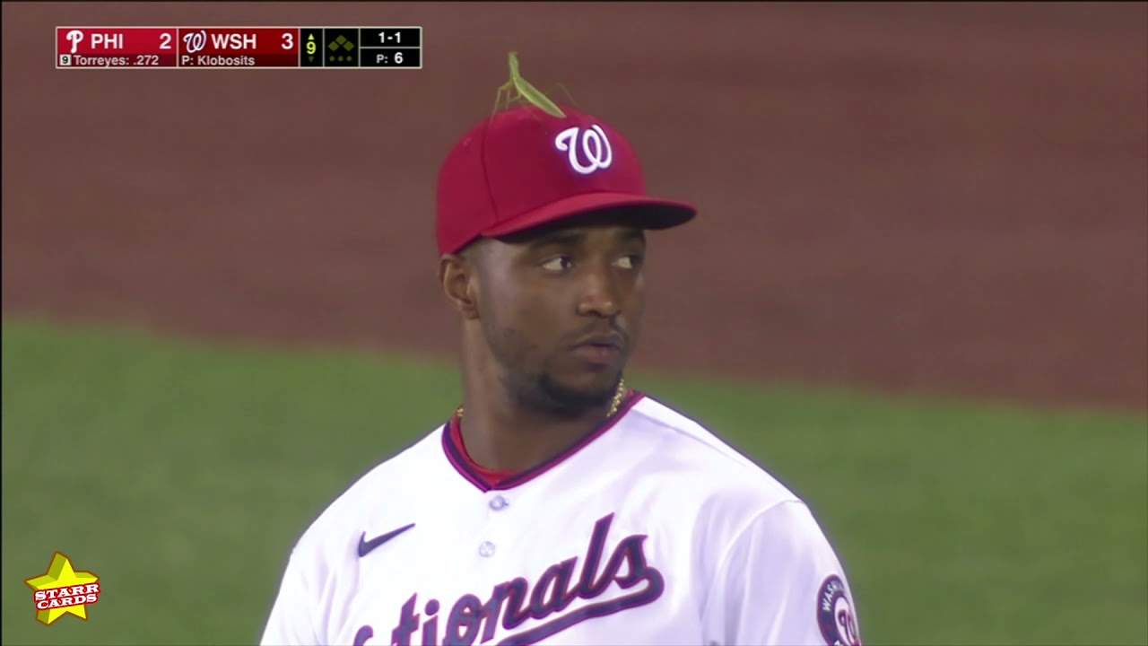 Cat evades security crew at Yankee Stadium, while praying mantis hitches ride at Nationals Park