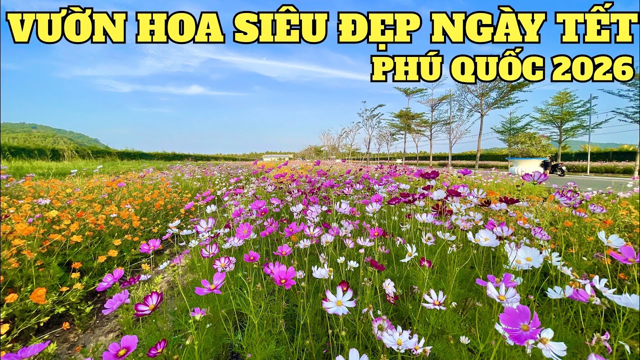Phú Quốc 2026 || Vườn Hoa Siêu Đẹp Tham Quan Chụp Hình Tết Miễn Ở Nam Đảo