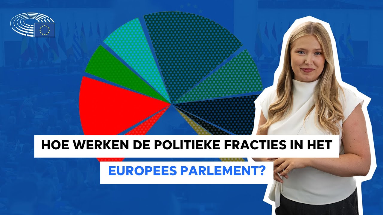 Hoe werken de politieke fracties in het Europees Parlement?