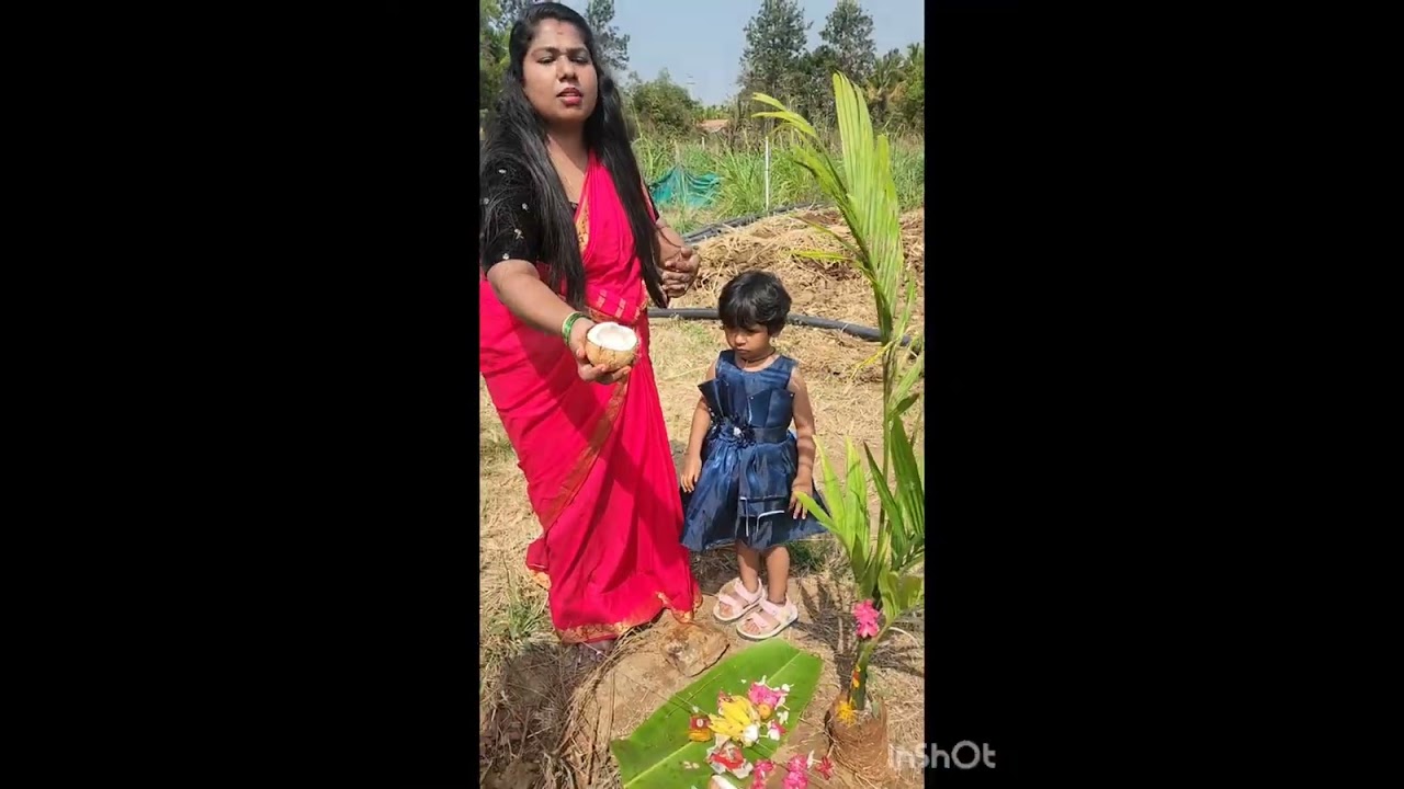 Planting acreca nut plant 🪴 in our farm .....doing pooja for starting up....