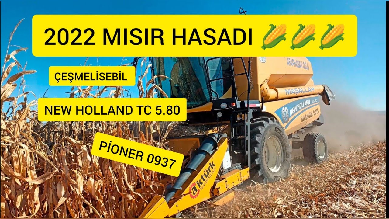 ✨2022 MISIR HASADI 🌽✨ NEW HOLLAND TC 5.80✨ İLE 5Lİ AKTÜRK MISIR TABLASI✨ (PİONER 0937) ÇEŞMELİSEBİL