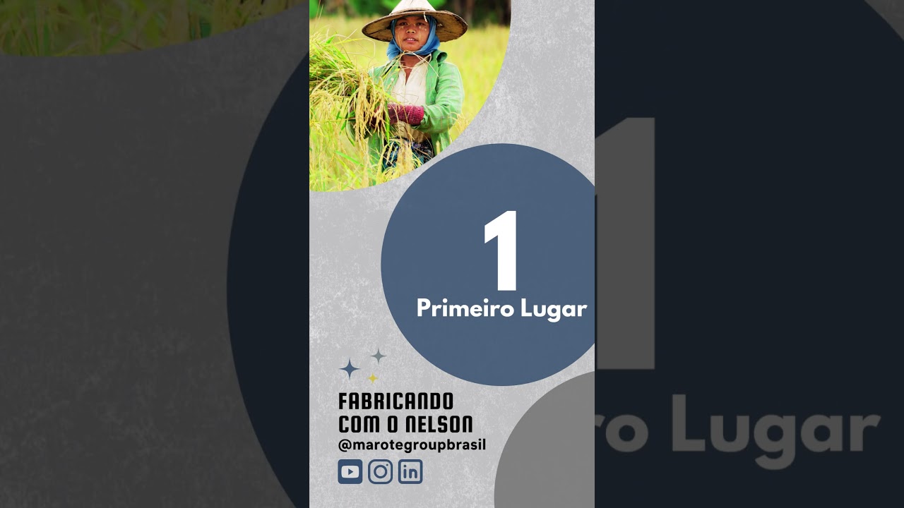 Maiores Produtores de ARROZ | MY 2022/2023