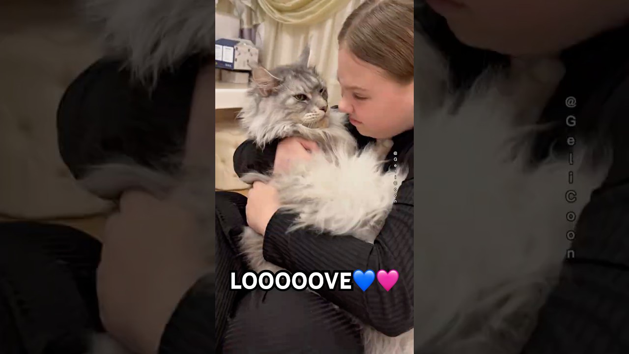 Tender Love❣️
