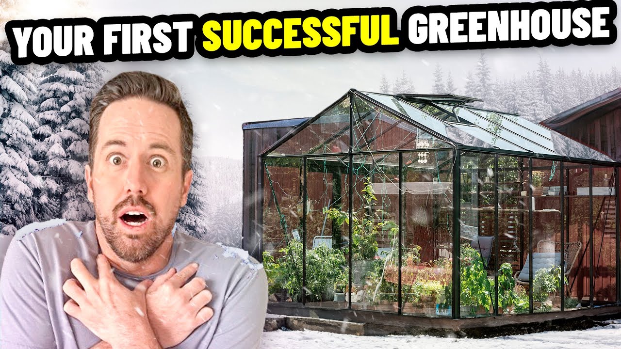 5 Secrets for a successful greenhouse (for beginners)