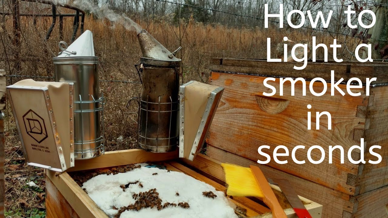 Mt. Camp update, 10,000 subscriber giveaway - Dadant smoker, hivetool and bee brush