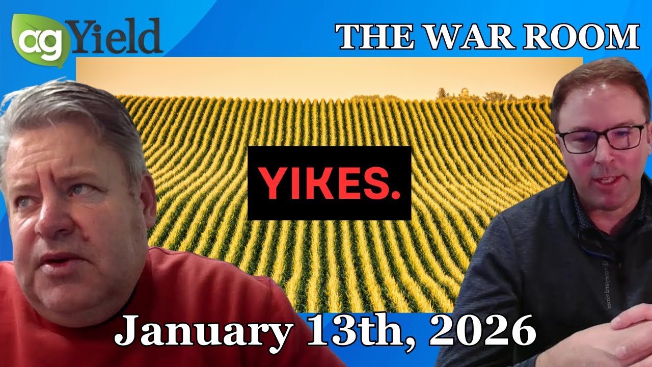All pain no gain—the aftermath of the Jan WASDE report. | Market insights for grain farmers  1/13/26