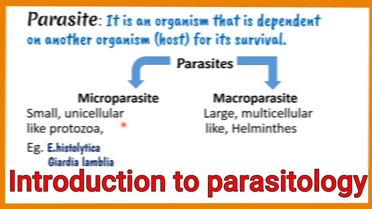 Introduction to parasitology || classification || Laboratory diagnosis of parasite