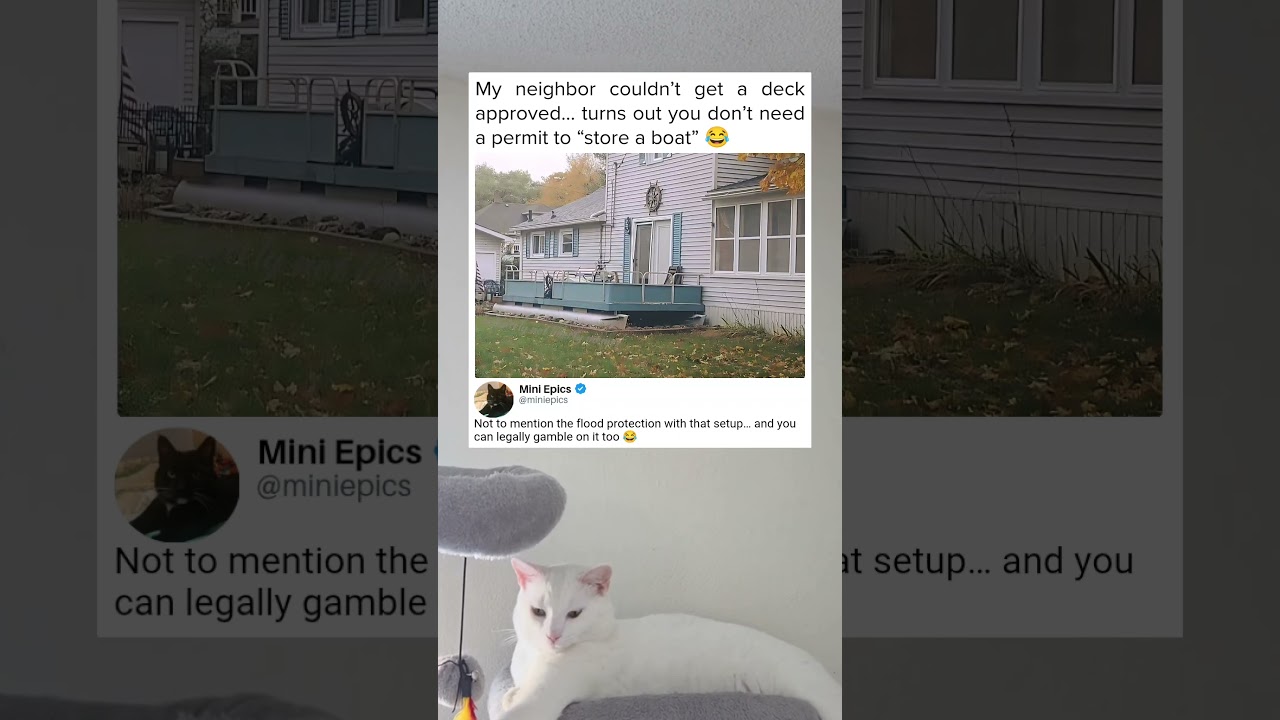 Удачно раскрыта лазейка в правилах товарищества собственников жилья 😂