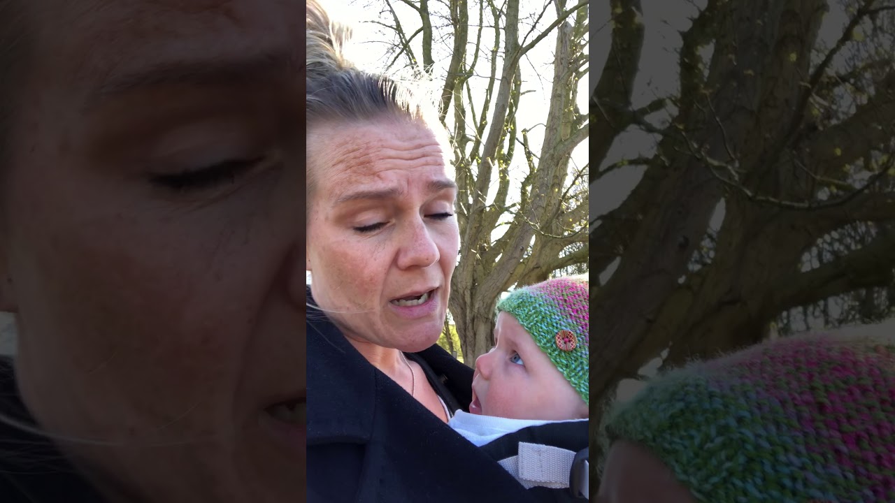 Peuter/dreumes activiteit - dieren spotten