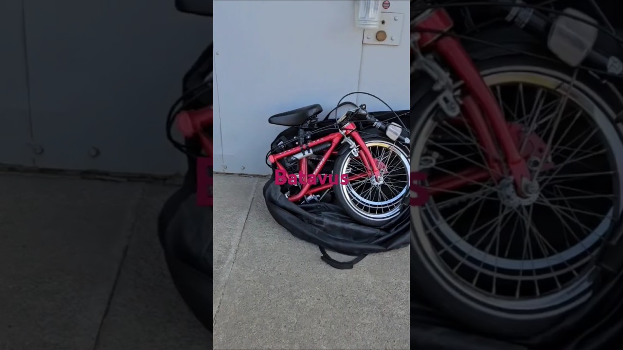 Batavus Easy Travel  16