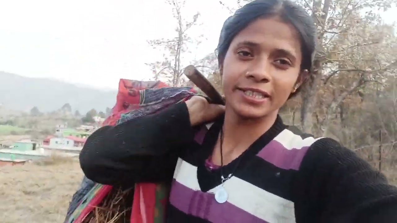 आज हमने अपने क्यारी में पेड़ लगाए #phadi #phadilifestyle #youtubeshorts