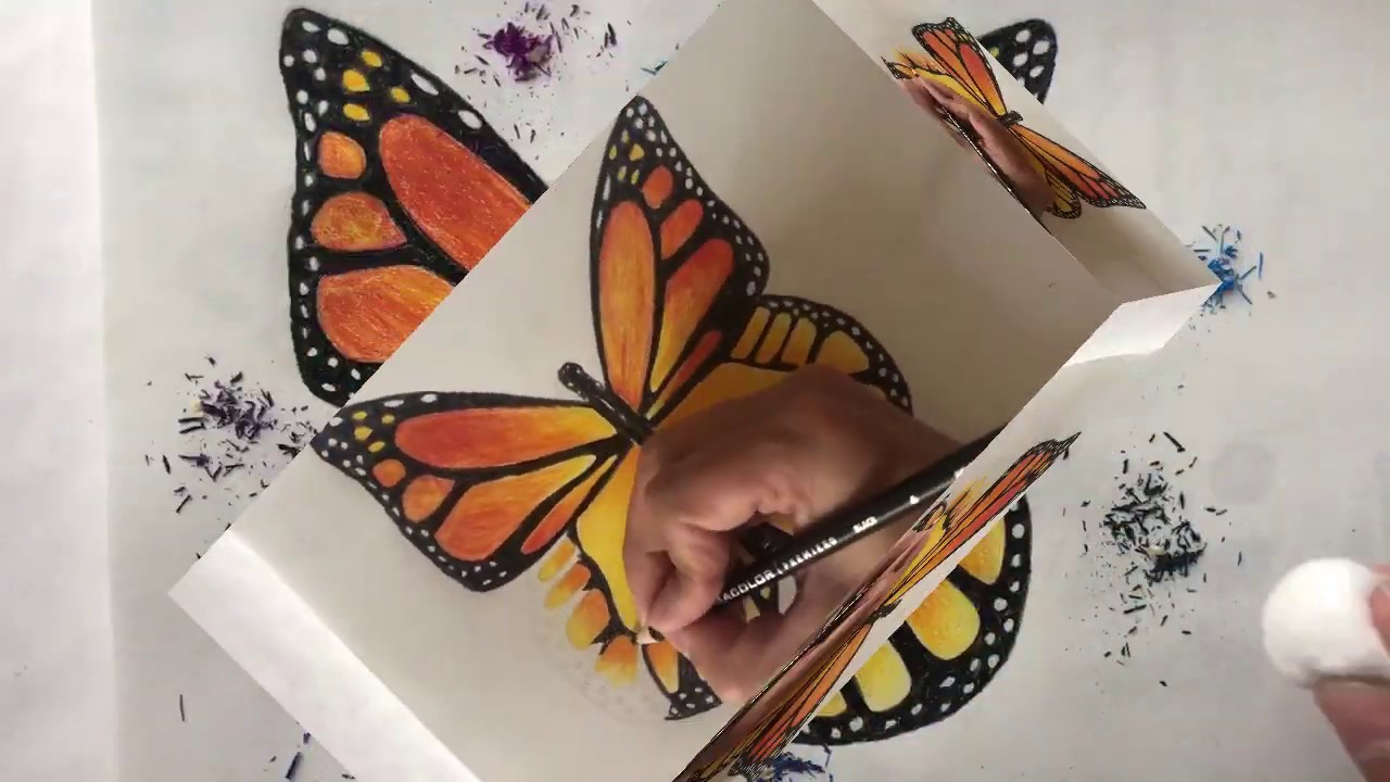 Cómo dibujar una mariposa con lápices de colores