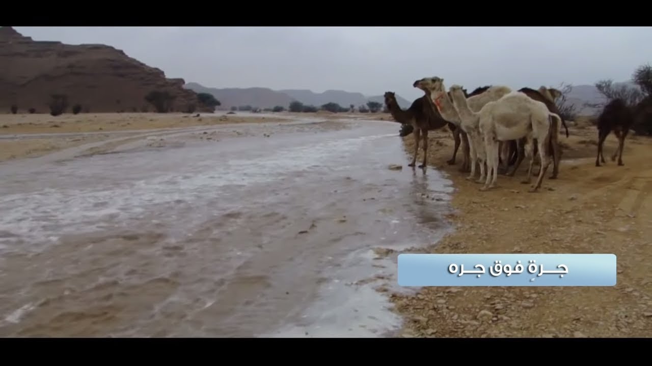 منير البقمي - جرة فوق جره