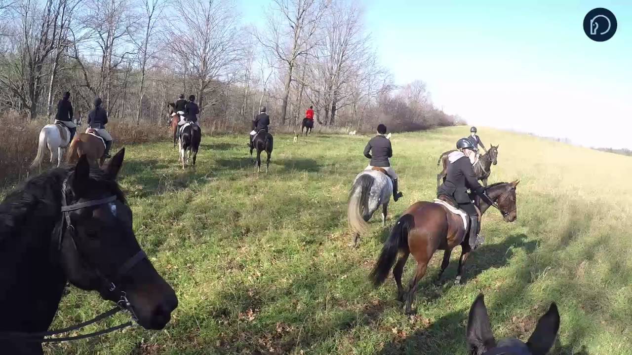 Riding to Hounds