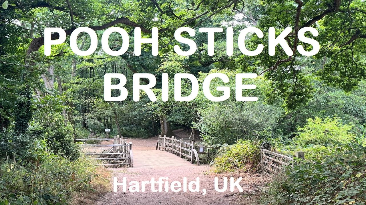 Winnie the Pooh - Pooh Sticks Bridge - tour of Pooh country. Ashdown Forest, Sussex.