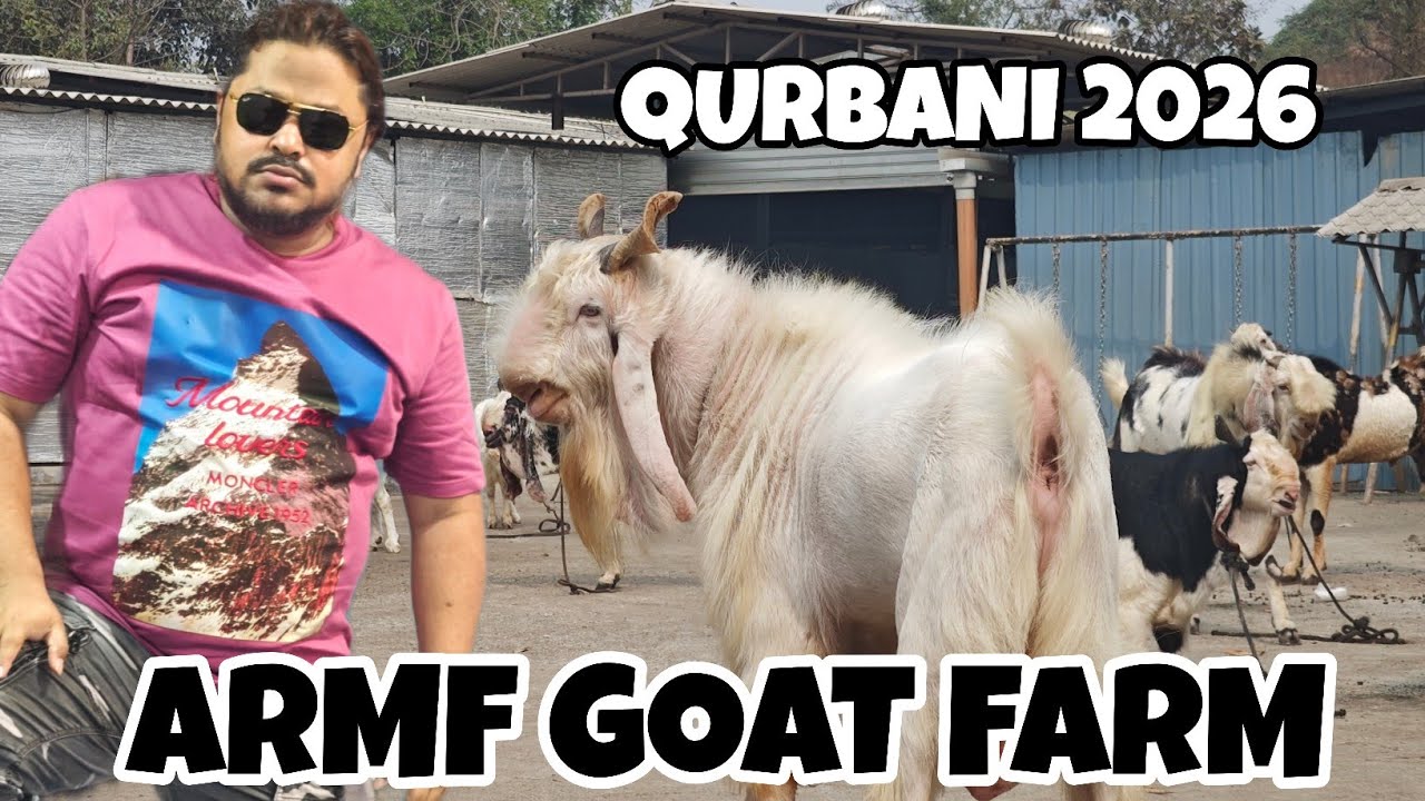 KOTA.GUJRI.MALWA.BARBARA.EXOTIC SAB BAKRE MILAGA AT ARMF GOAT FARM BY REHMAN MISTRI HAQSE BAKREBAAZ 
