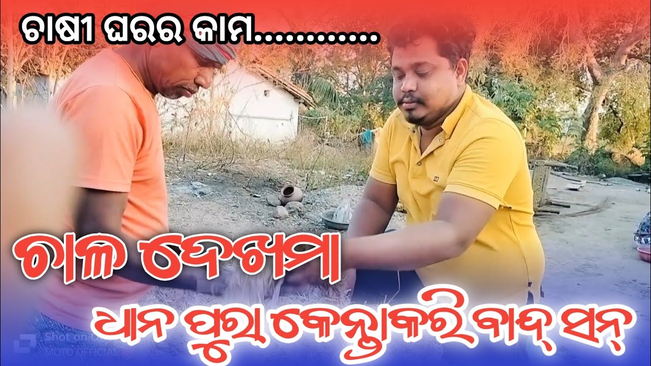 ଧାନ ପୁରା କେନ୍ତା କରି ବାନ୍ଦ ସନ୍#farmer #chasipila#farming #mot officialvlogs