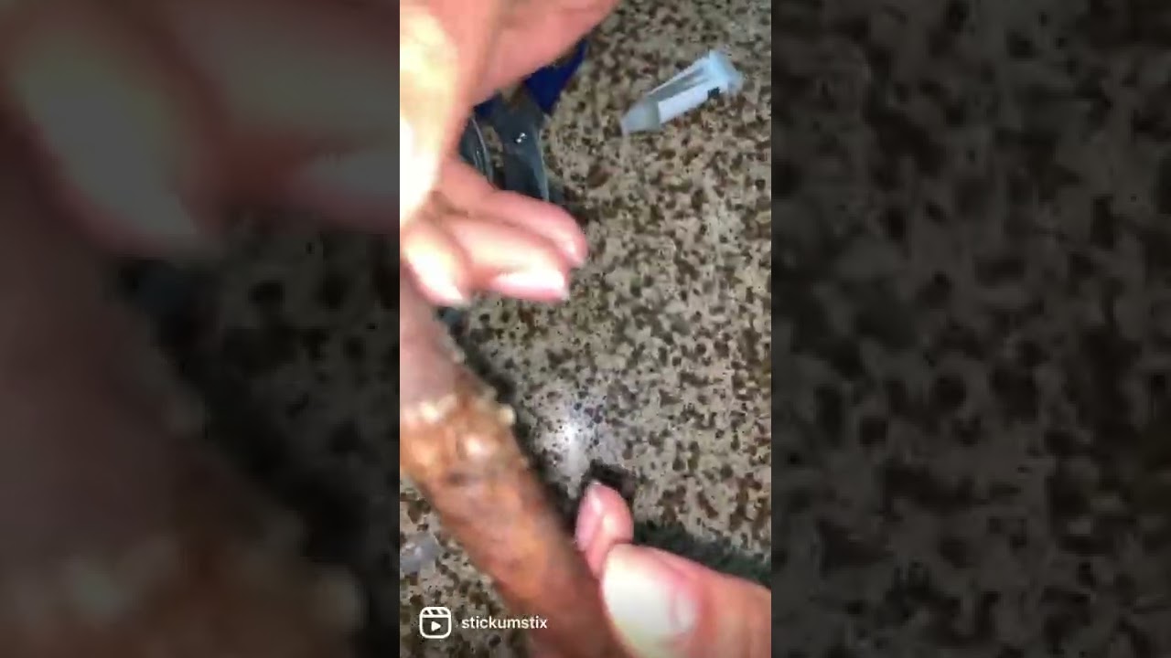 How to Roll A Backwood Without Licking It using Stickum Stix