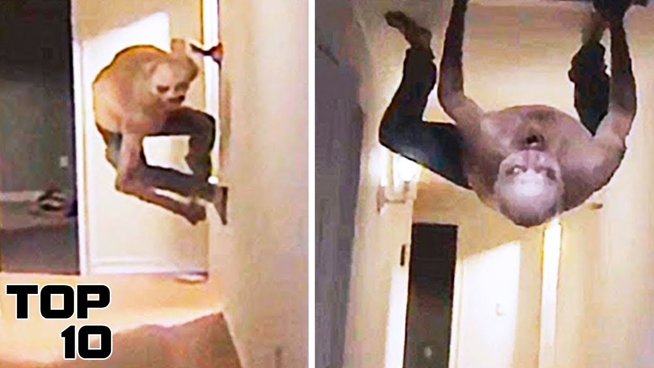 Top 10 Terrifying Camera Photos Recovered From Prohibited Places
