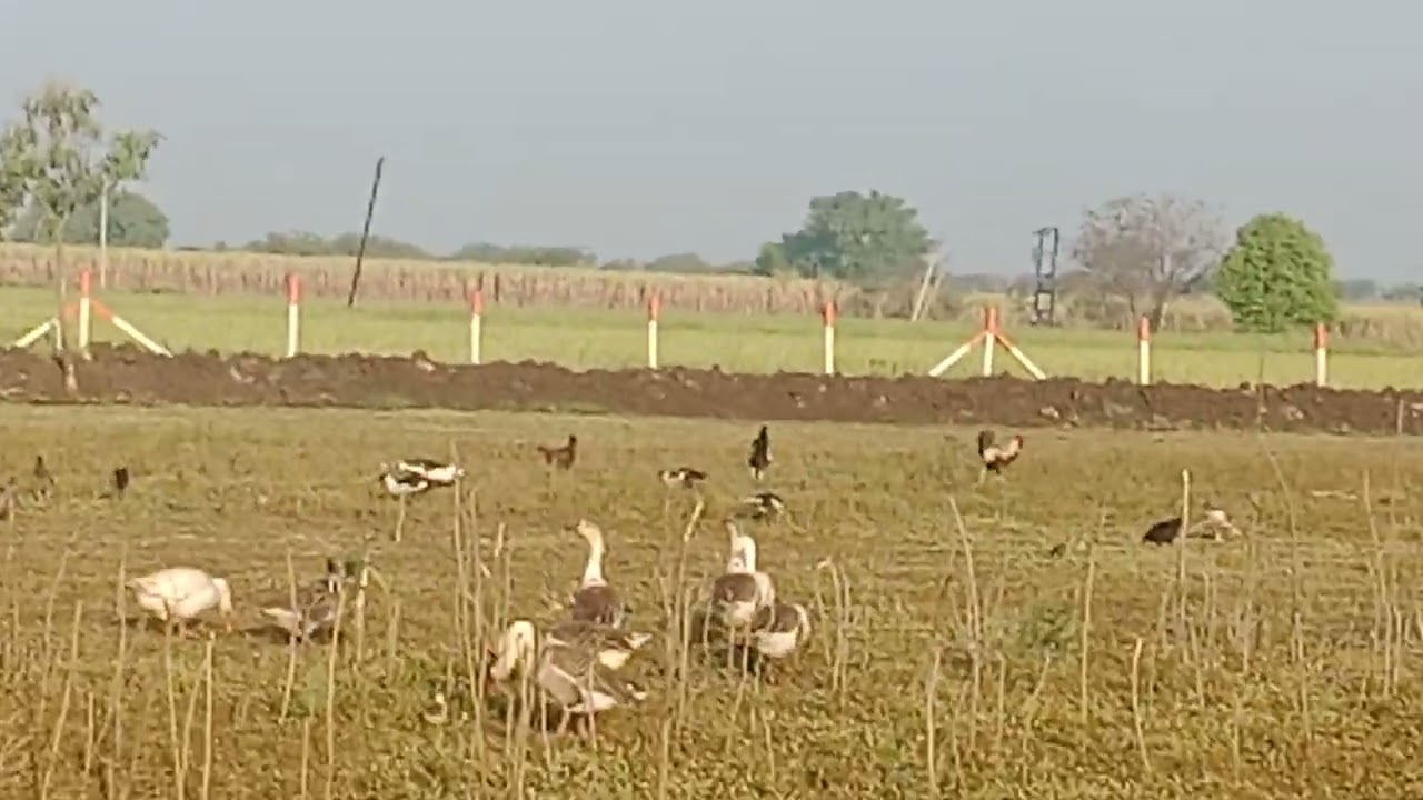 १२ फेब्रुवारी, २०२६