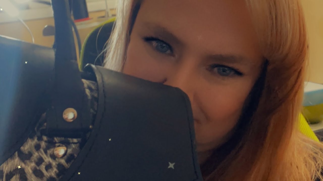 Meet the Derica Handbag