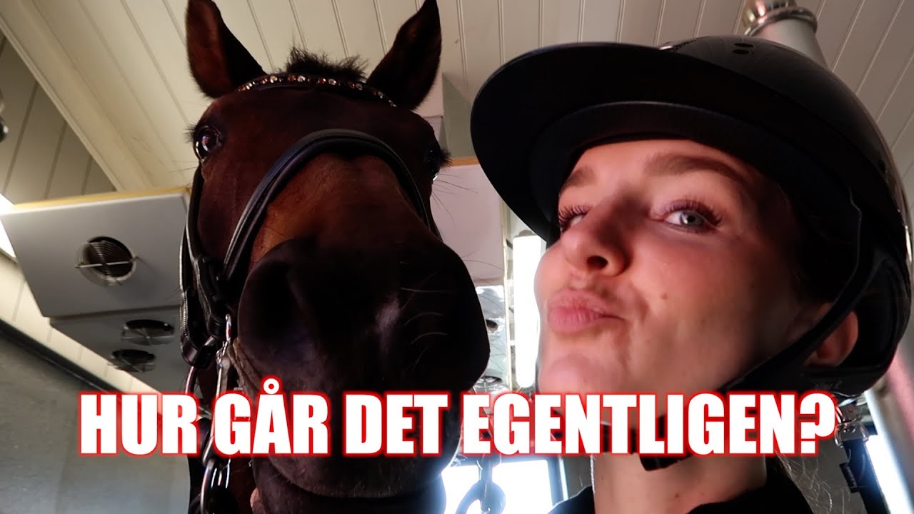 ♘ STALLVLOGG♘ BOOTCAMP! *när ska vi tävla igen?!*