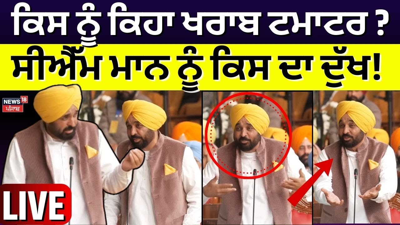 CM Bhagwant Mann  | ਕਿਸ ਨੂੰ ਕਿਹਾ ਖ਼ਰਾਬ ਟਮਾਟਰ? CM Mann ਨੂੰ ਕਿਸ ਗੱਲ ਦਾ ਦੁੱਖ! Punjab Vidhan Sabha