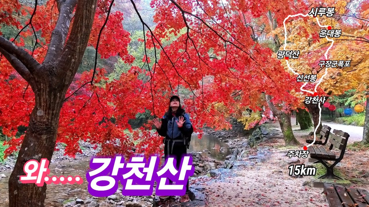 2025년 11월 10일/단풍 절정일때 강천산/아직 늦지 않았어요 너무좋아요/