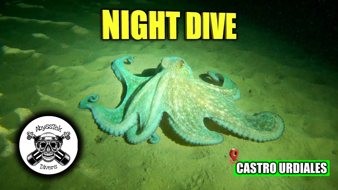 ALUCINANTE NOCTURNA EN DON LUIS (CASTRO URDIALES)