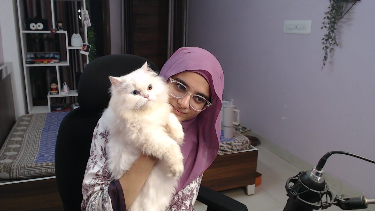 We Back Gnggg || Valorant India Live 