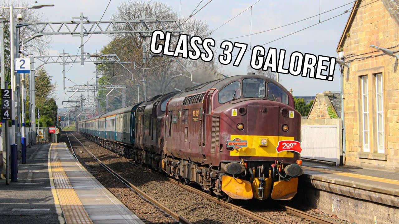 *RARE* Class 37s on The Easter Highlander and The Grangemouth Growler and Route Learning!