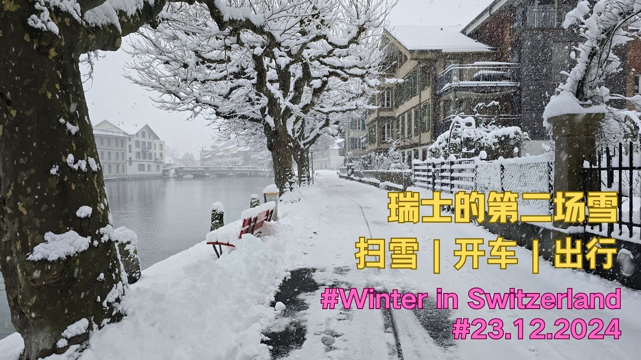瑞士的第二场雪  | winter in switzerland  | 瑞士生活 | 下雪日出行 | 瑞士的童话世界 | 瑞士绝美的雪景  |  白色圣诞节 | 雪地小猫咪 | 瑞士生活vlog |