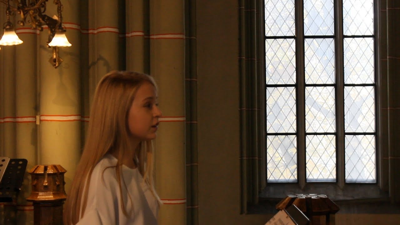 J.S.Bach, Agnus Dei. Aleksandra Spicberga