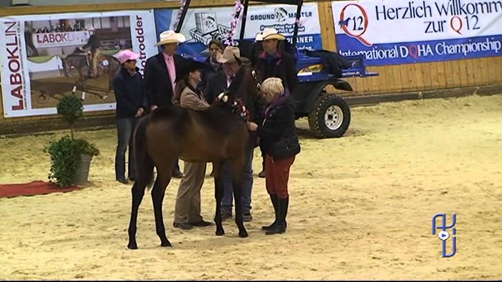 DQHA Champion of Champions 2012