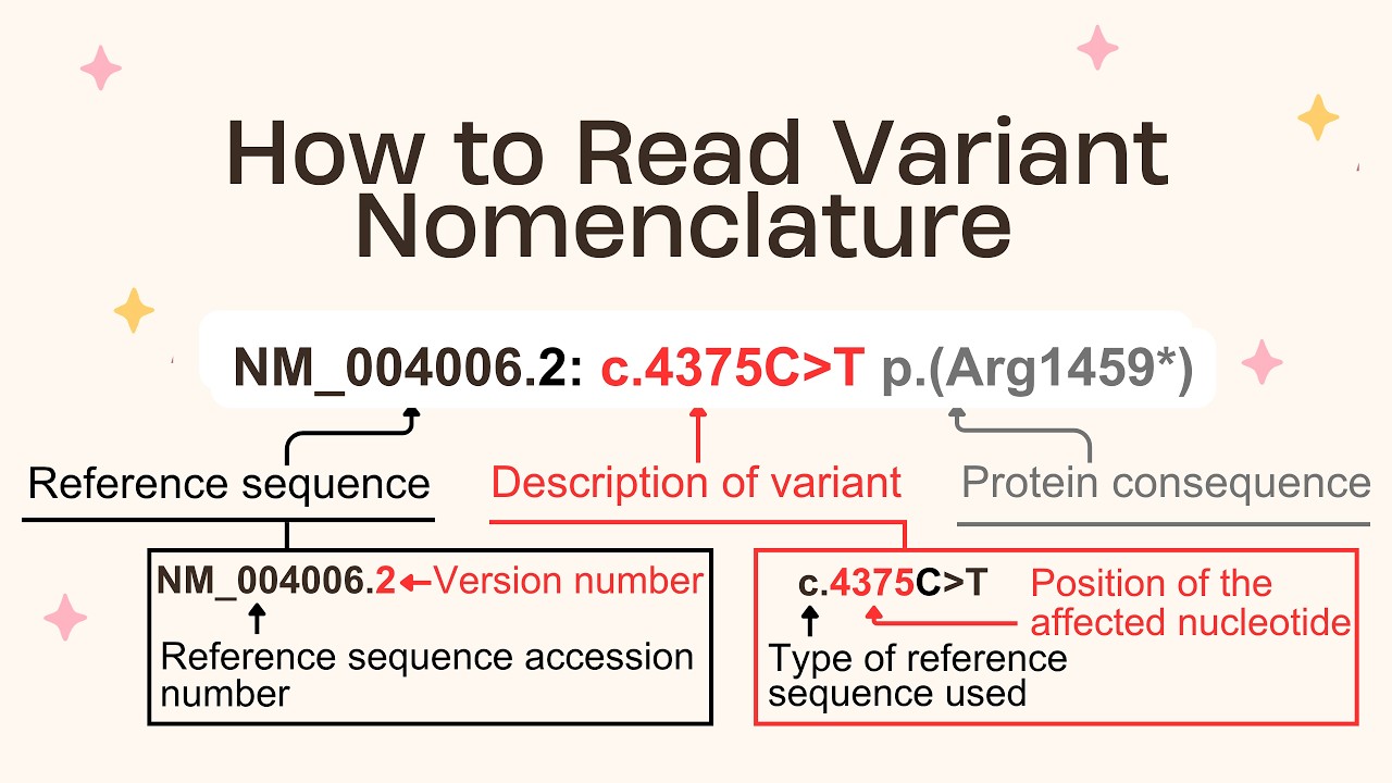 Variant Nomenclature Made Easy (HGVS) | How to Read Genetic Reports