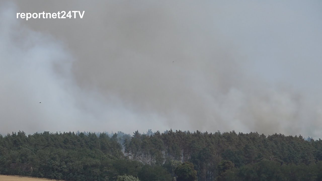Waldbrand bei Gransee - 32 Hektar Wald und Getreidefläche abgebrannt