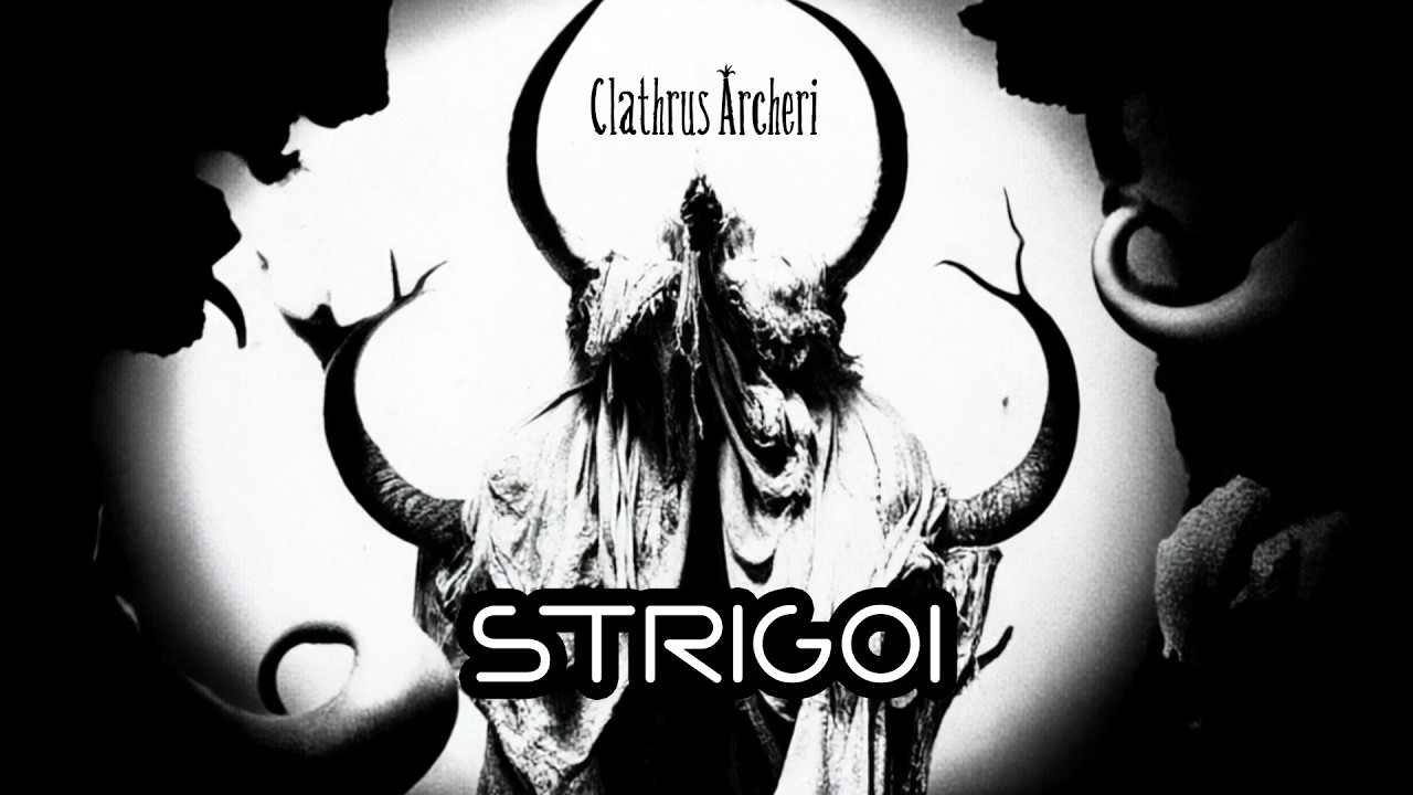 Clathrus Archeri - 