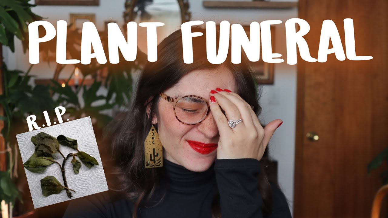 my plants that died in 2021 | Plant Funeral Year 4