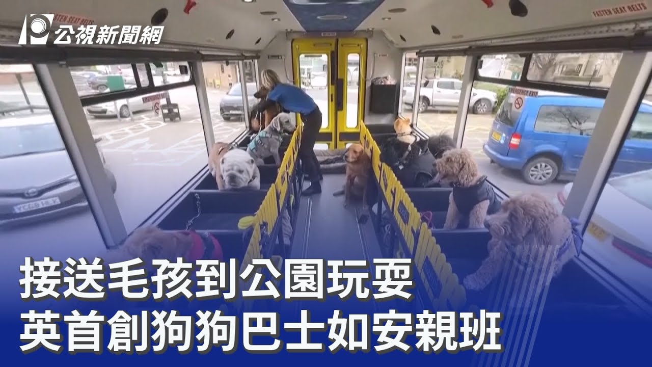 接送毛孩到公園玩耍 英首創狗狗巴士如安親班｜20260316 8點新世界