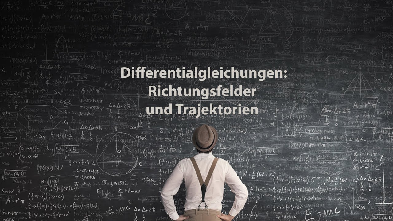 Differentialgleichungen: Richtungsfelder und Trajektorien